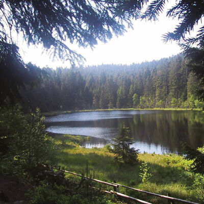 Naturdenkmal-Herrenwieser-See